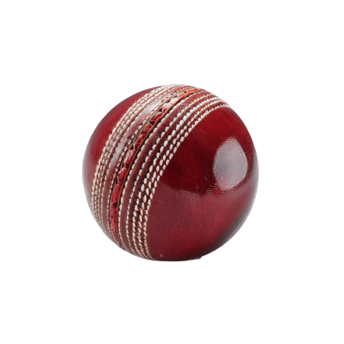 Training Cricket Ball